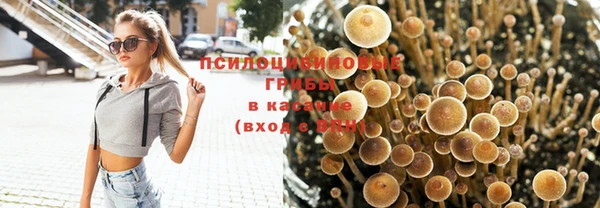 кокс Надым